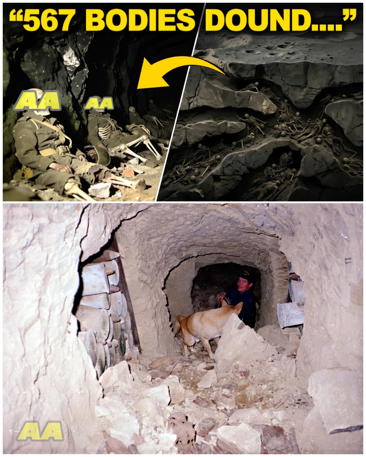 The Cult in the Mountains Was a Lie. The Real Prison Was Built Online