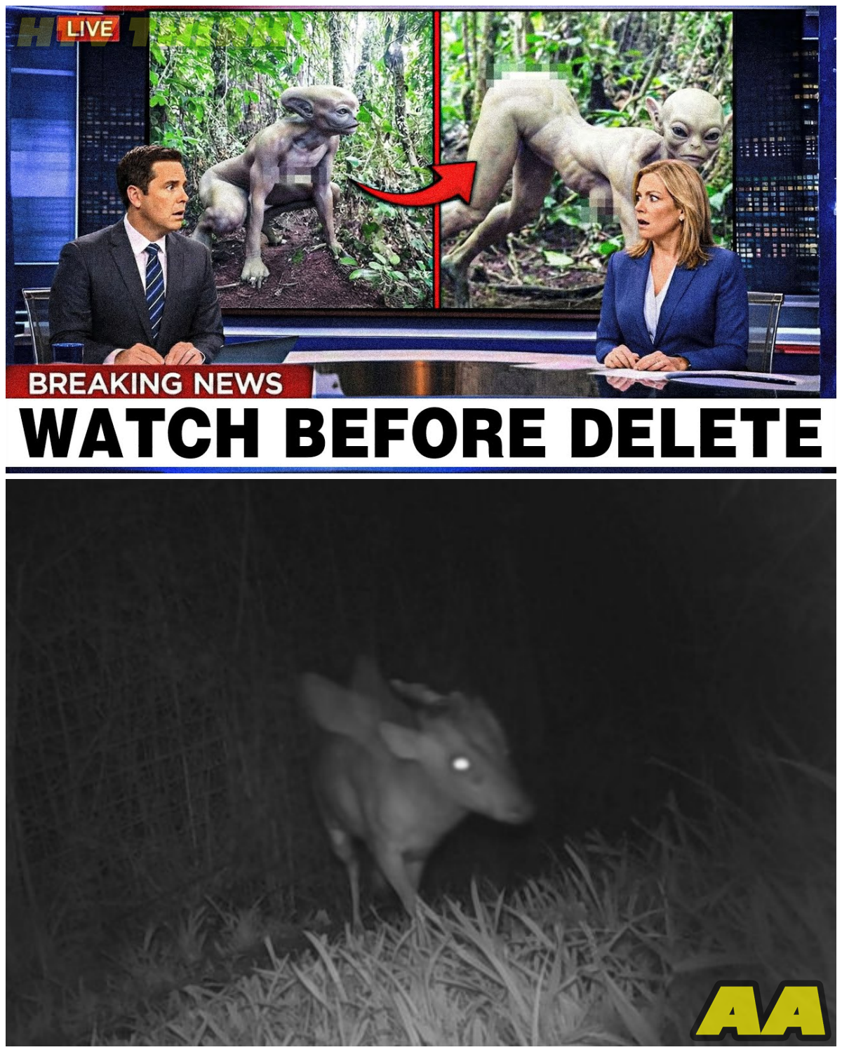 😱 Terrifying Creatures Caught on Camera in the Woods