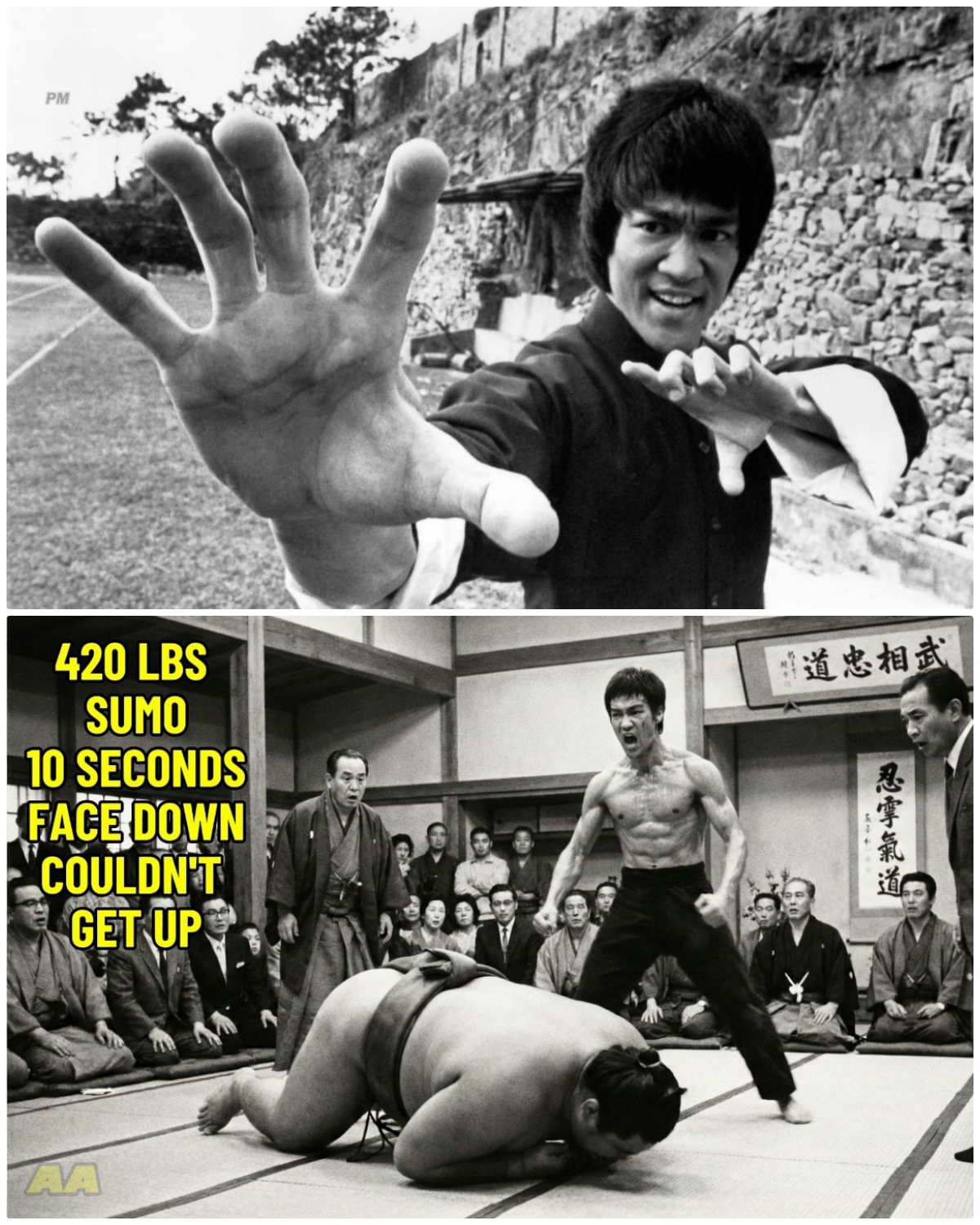 Bruce Lee Was Tokyo Professional Sumo 6’2 420 Lbs Said ‘Too Small’