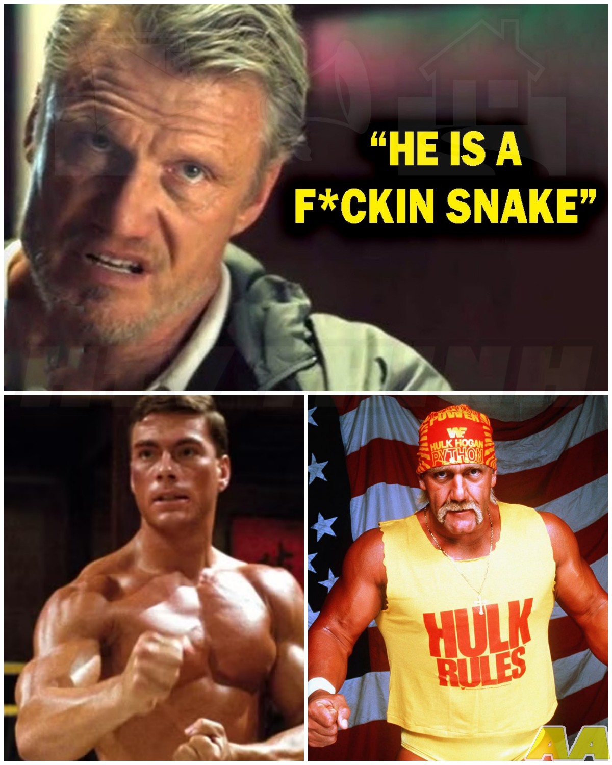 🎰 5 Hollywood Stars Dolph Lundgren Refuses to Work With Again