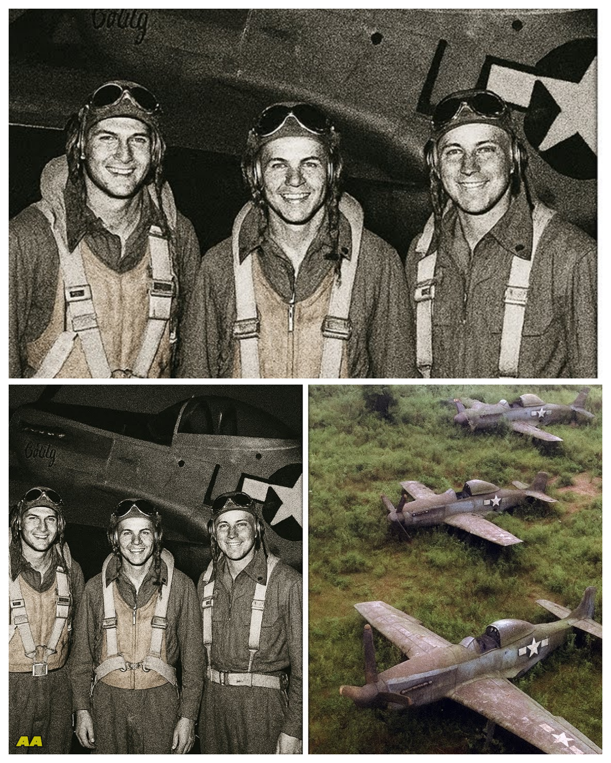 3 Fighter Pilots Vanished In 1944