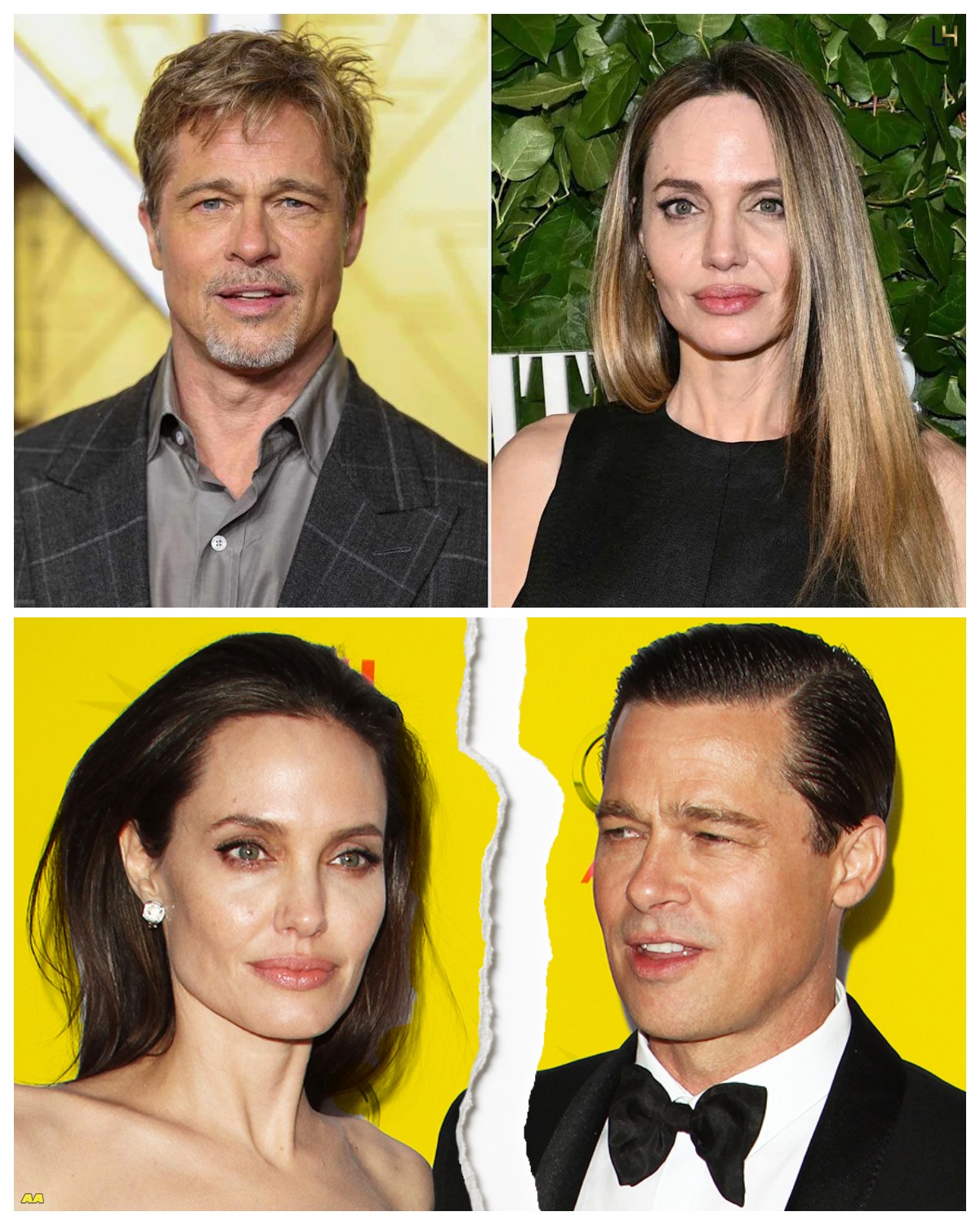 Why did Brad Pitt push his ex-wife into a corner?
