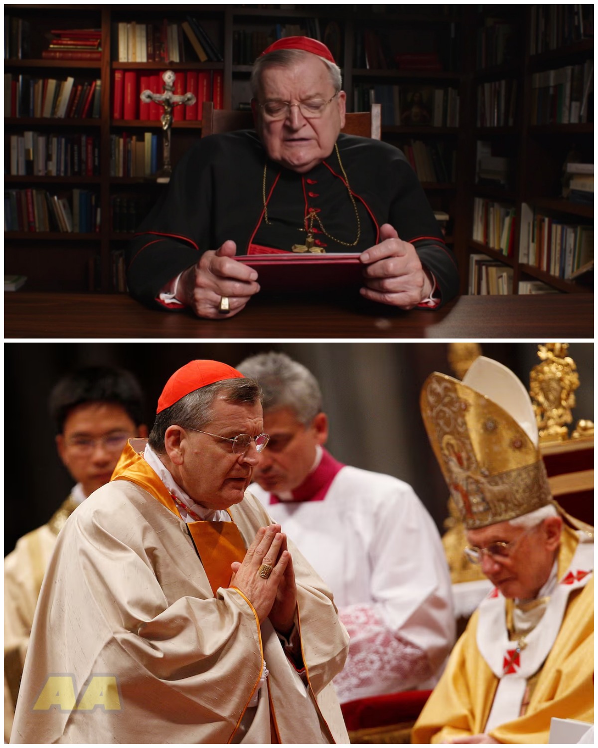 Cardinal Burke Strikes Back Against Fake Videos