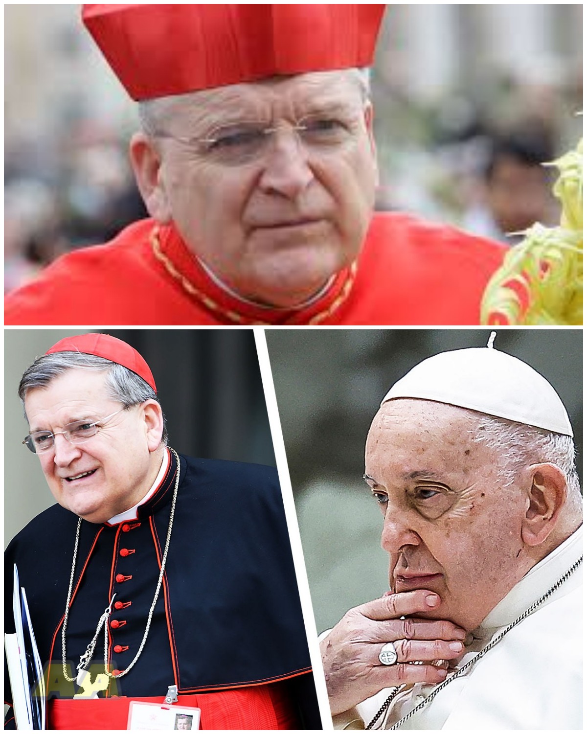 Pope Francis Silences His Fiercest Critic: The Demotion Of Cardinal Burke!