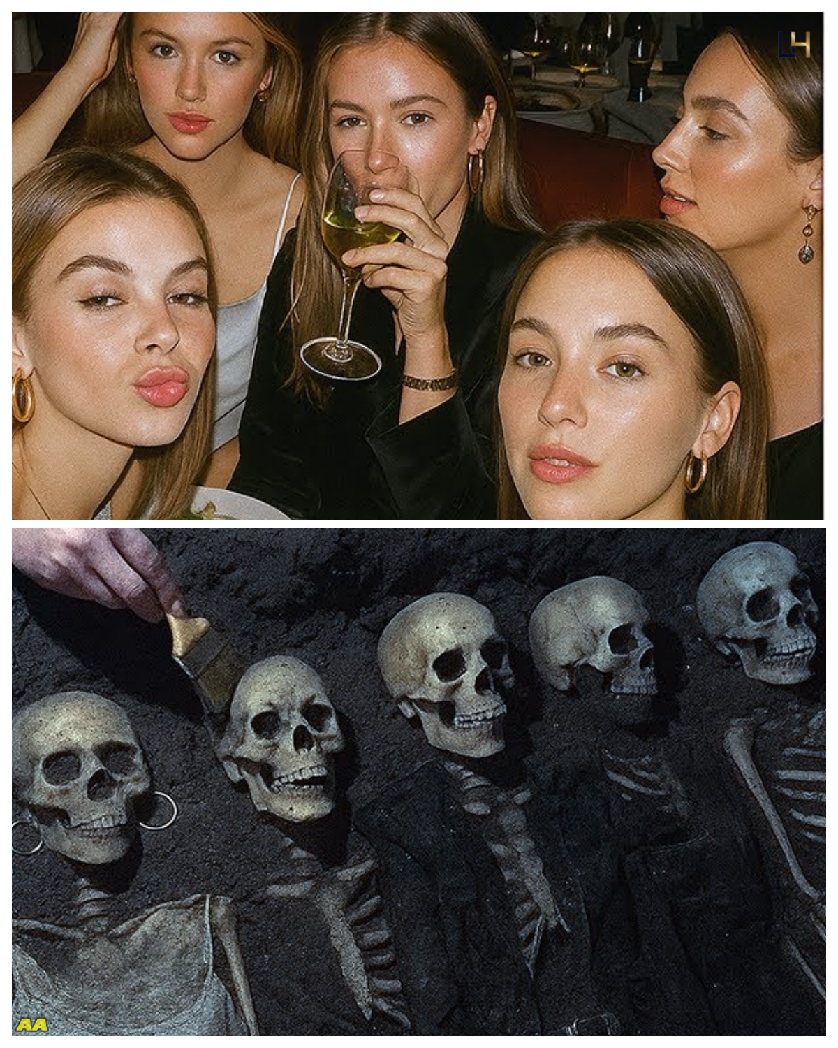 Friends Vanished After Dinner
