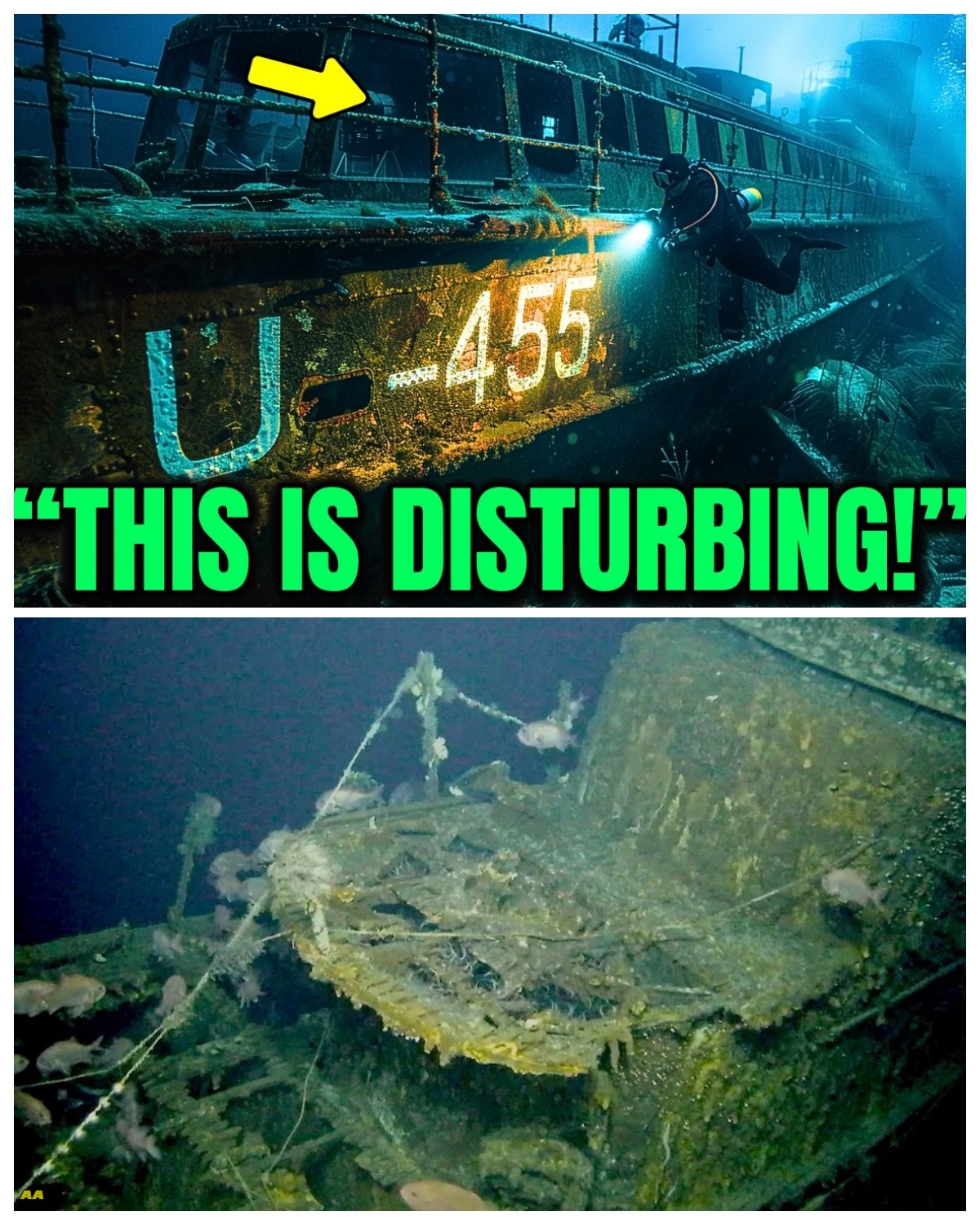 WWII Submarine Found With Crew Still Inside U-455 Mystery