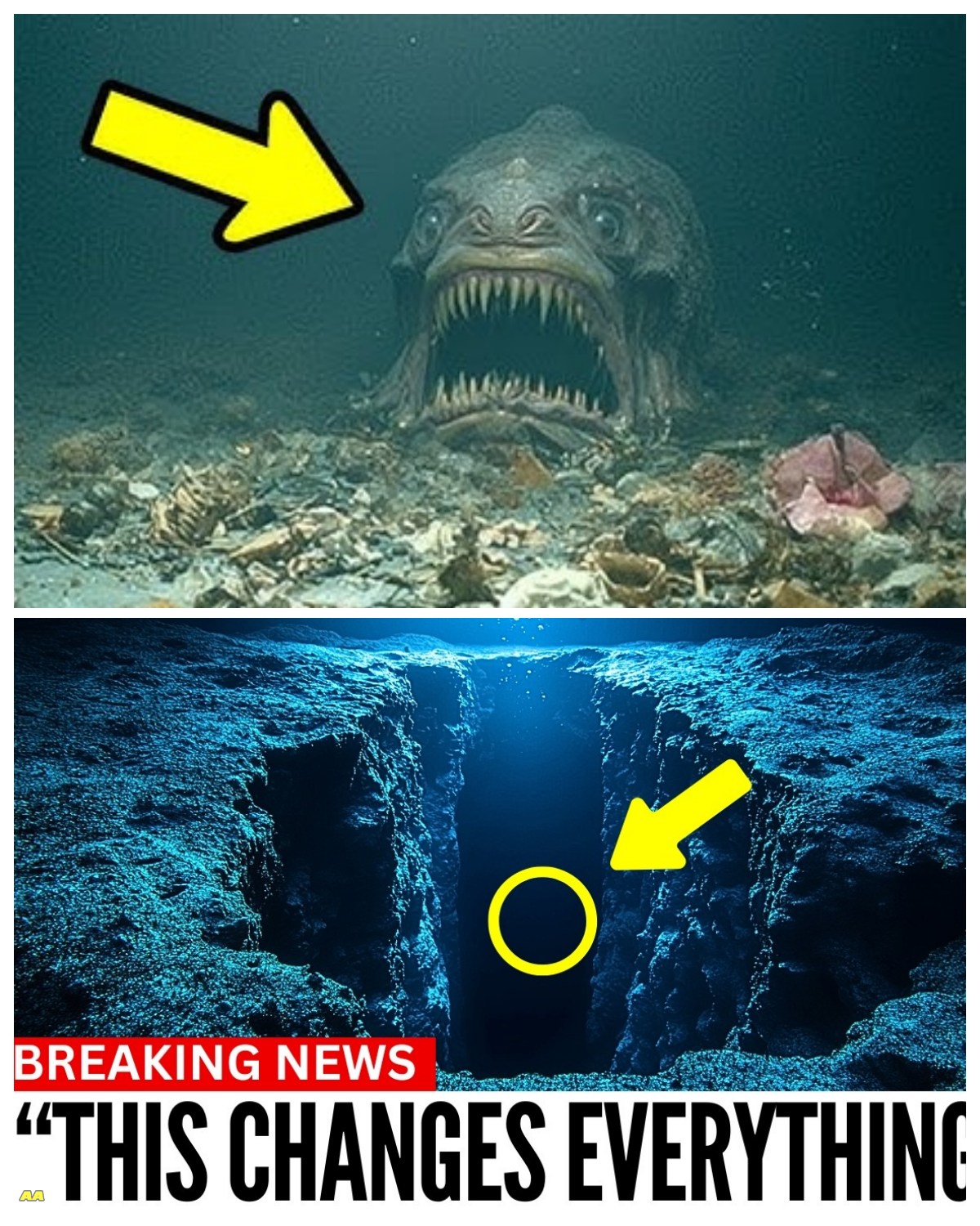 What They Captured In The Puerto Rico Trench Will Blow Your Mind  Thousands of feet beneath the waves, where light dies and pressure crushes steel, lies one of Earth’s final frontiers, the Puerto Rico Trench. But when scientists sent down a deep-sea drone to explore the environment , what they captured was so disturbing, it left the entire research crew speechless.