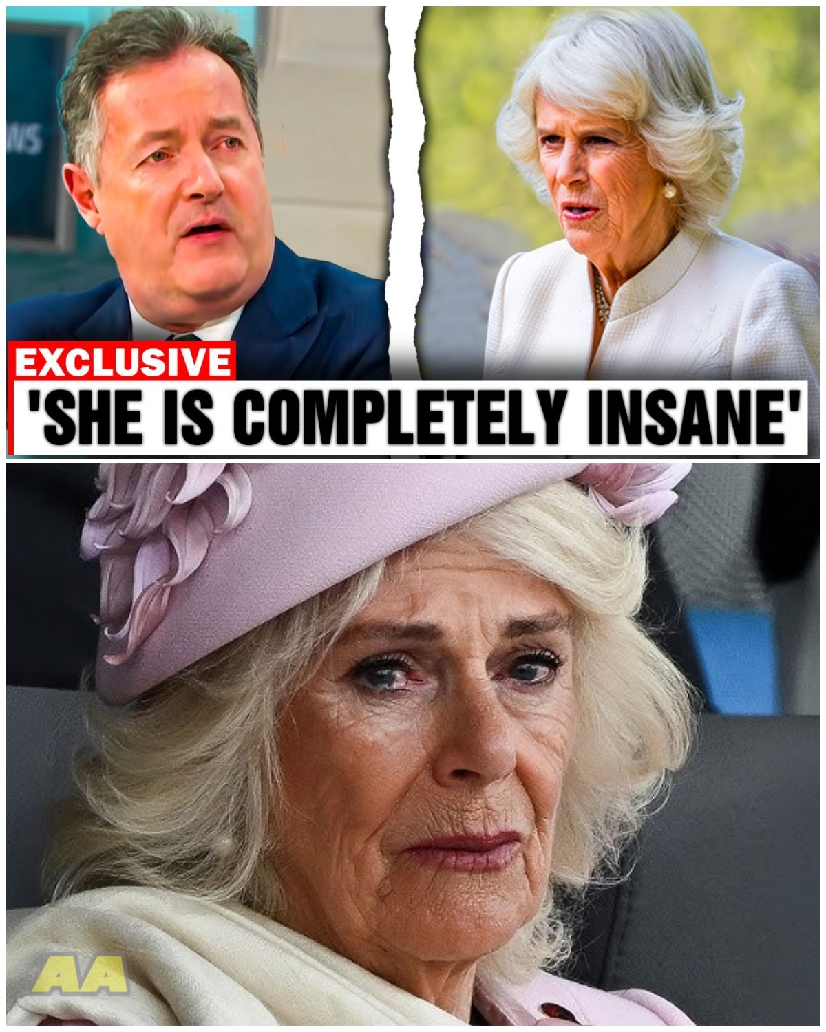 Why Princess Queen Camilla Remains the Most Controversial Figure in Royal History: A Tale of Scandal, Betrayal, and Unforgiving Public Judgment