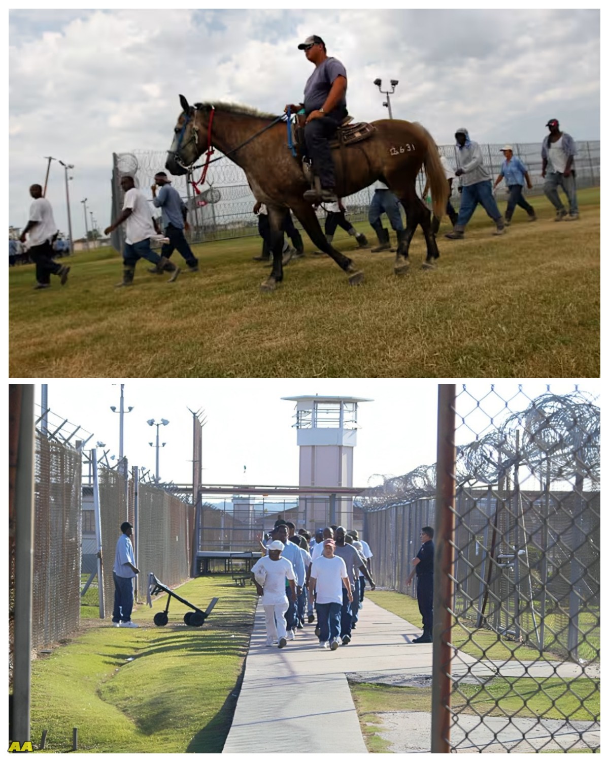 Why Louisiana’s Angola Prison Is So Dangerous Will Blow Your Mind idss