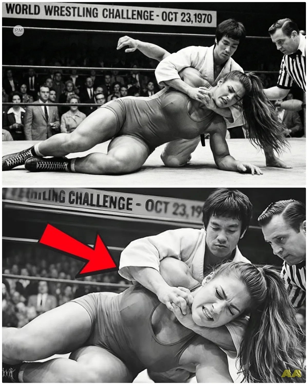 Bruce Lee Was Dared By WWE Female Champion Made Her Tap Out 45 Seconds 1970
