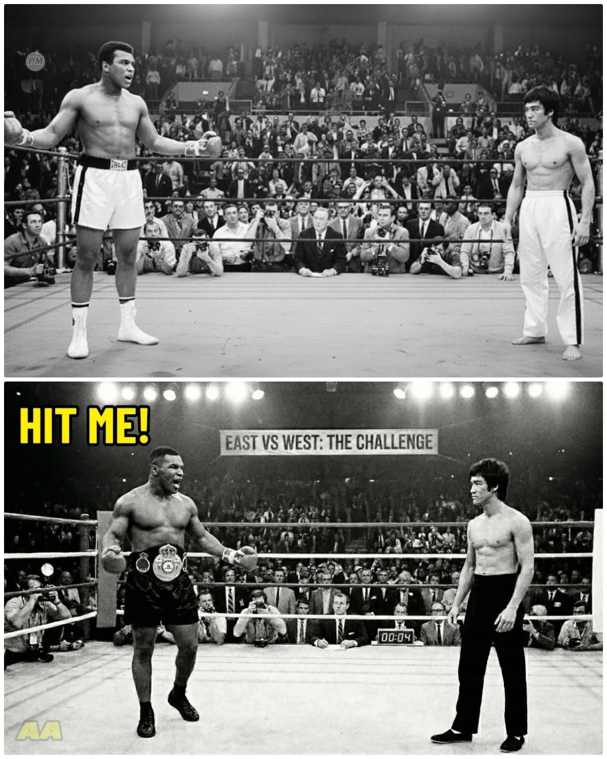 Bruce Lee Was Called Into Ring By Mike Tyson Said ‘Hit Me Let’s See’