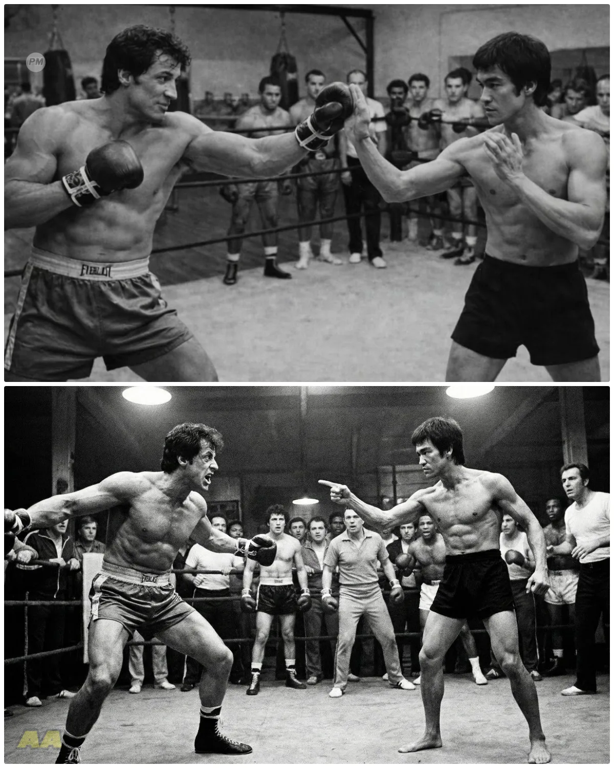 Bruce Lee Was In Ring When Sylvester Stallone Said ‘I’m Better At Boxing’