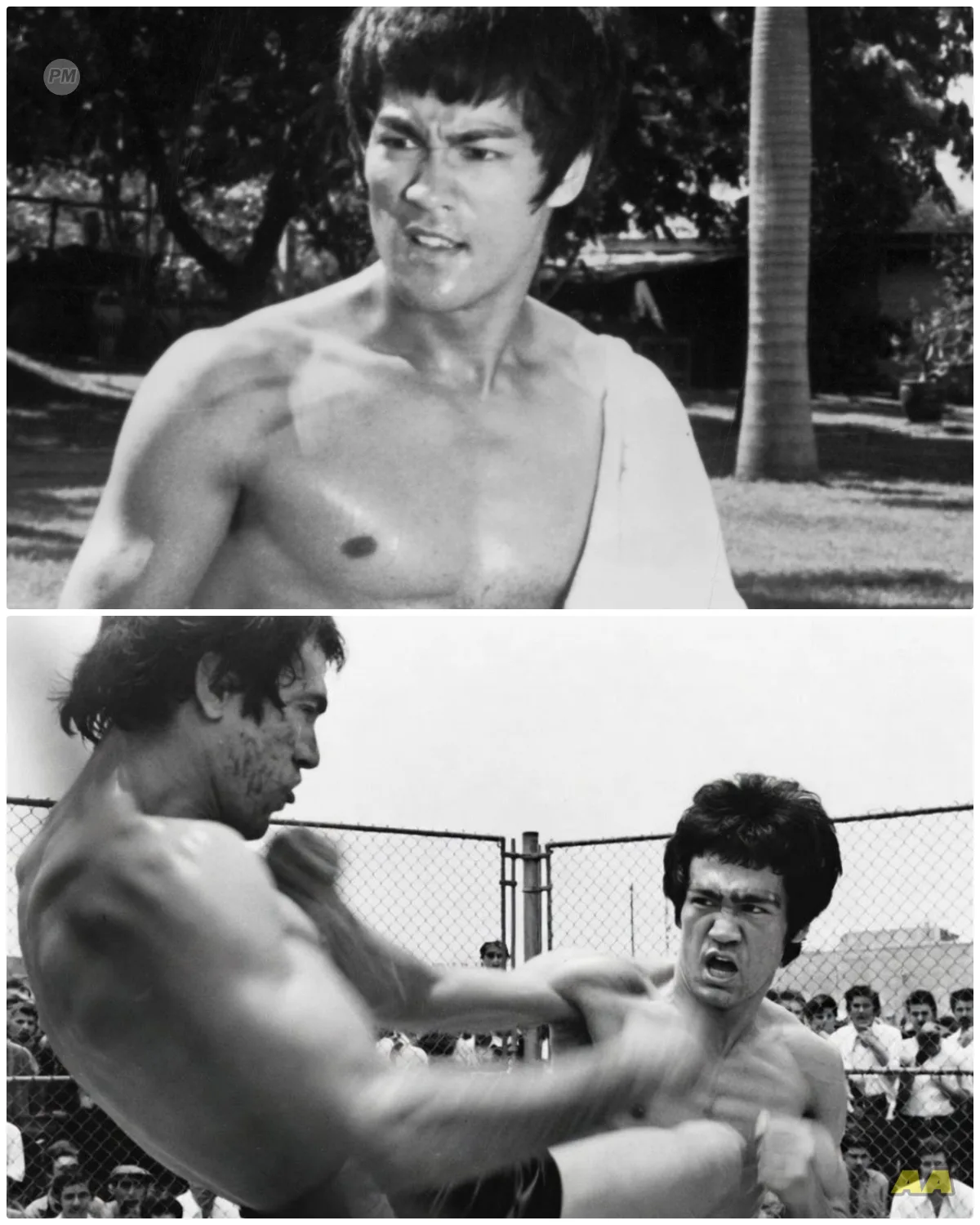 Bruce Lee’s Darkest Fight: No Rules Cage Match