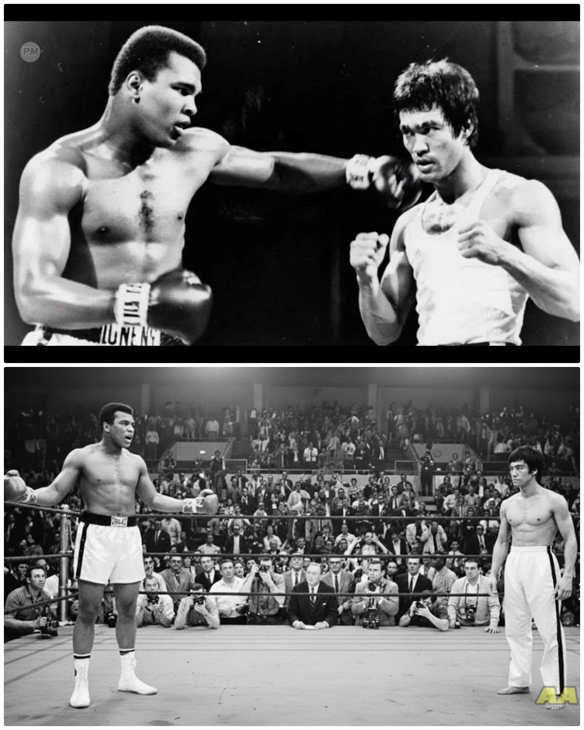 Bruce Lee Was Called Into Ring By Muhammad Ali and Said ‘Hit Me’