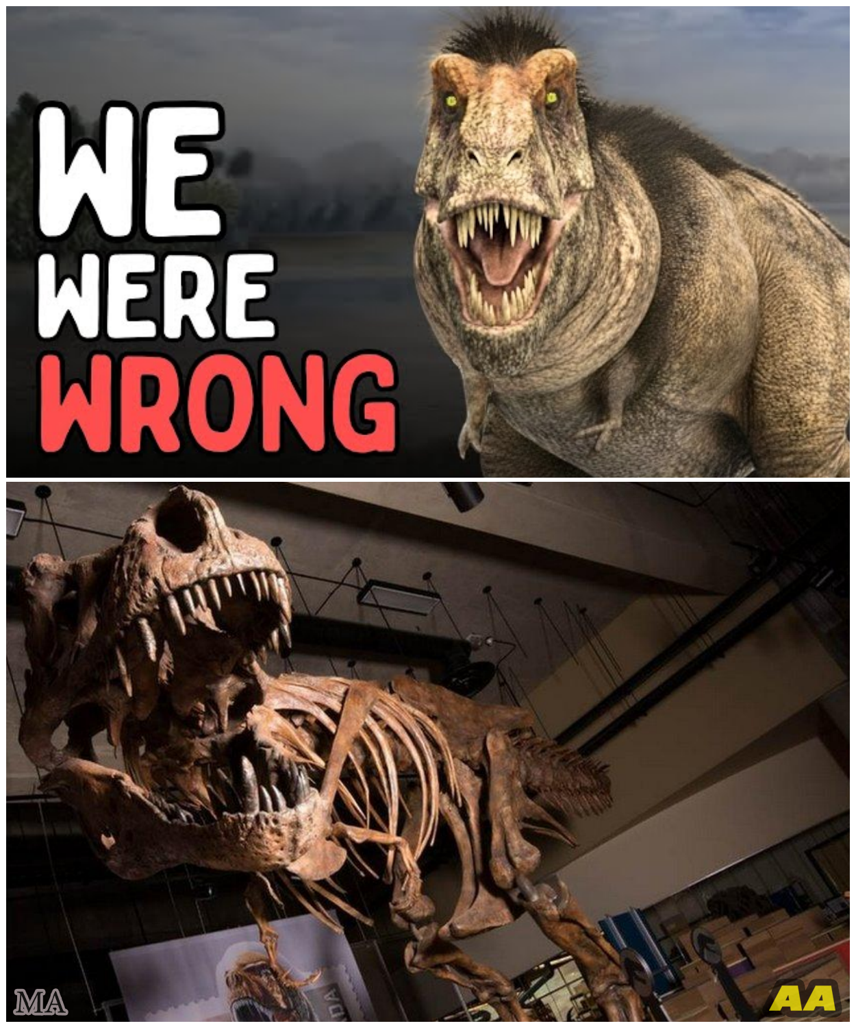 🦊 Scientists STUNNED After Finding the IMPOSSIBLE Inside T. Rex Fossils